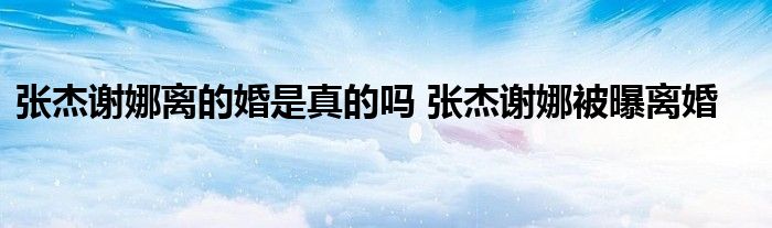 张杰谢娜离的婚是真的吗 张杰谢娜被曝离婚