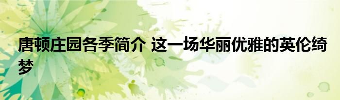 唐顿庄园各季简介 这一场华丽优雅的英伦绮梦