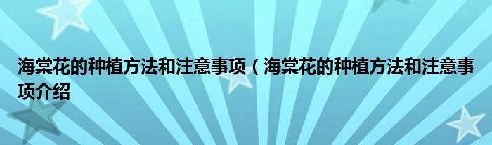 海棠花的种植方法和注意事项(海棠花的种植方法和注意事项介绍