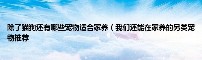 除了猫狗还有哪些宠物适合家养(我们还能在家养的另类宠物推荐