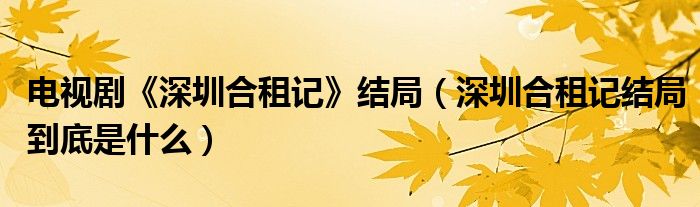 电视剧《深圳合租记》结局(深圳合租记结局到底是什么)