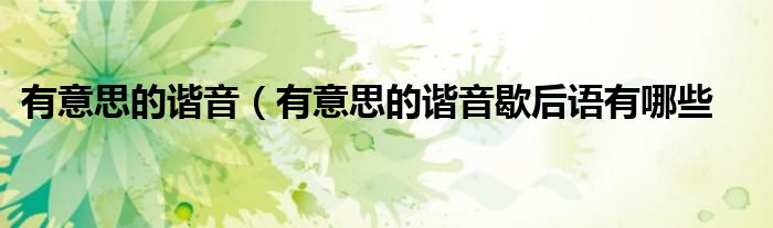 有意思的谐音(有意思的谐音歇后语有哪些