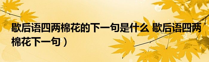 歇后语四两棉花的下一句是什么 歇后语四两棉花下一句)