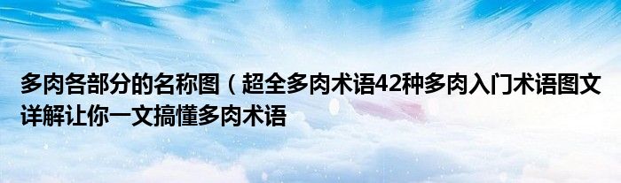 多肉各部分的名称图(超全多肉术语42种多肉入门术语图文详解让你一文搞懂多肉术语