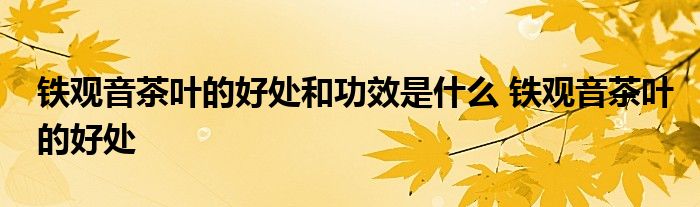 铁观音茶叶的好处和功效是什么 铁观音茶叶的好处