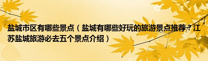 盐城市区有哪些景点(盐城有哪些好玩的旅游景点推荐?江苏盐城旅游必去五个景点介绍)