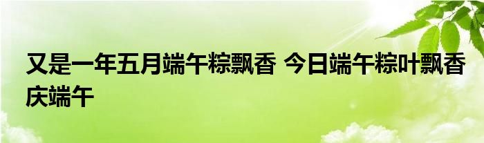 又是一年五月端午粽飘香 今日端午粽叶飘香庆端午