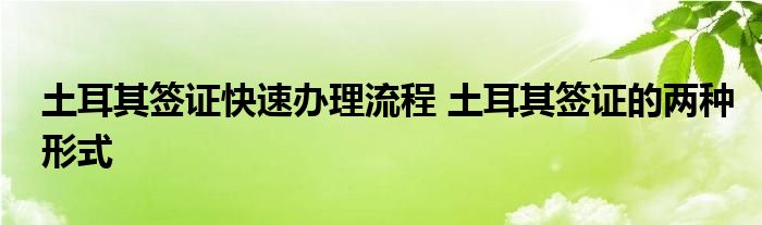 土耳其签证快速办理流程 土耳其签证的两种形式