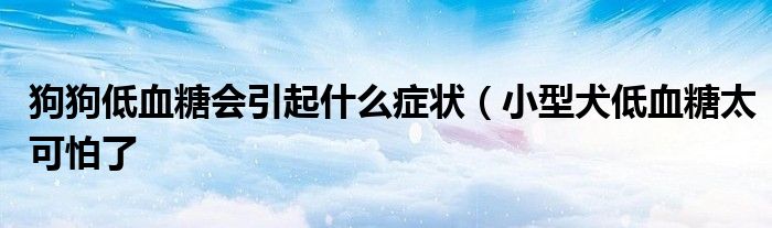狗狗低血糖会引起什么症状(小型犬低血糖太可怕了