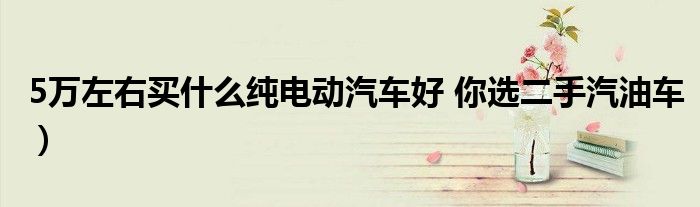 5万左右买什么纯电动汽车好 你选二手汽油车)