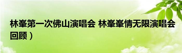 林峯第一次佛山演唱会 林峯峯情无限演唱会回顾)