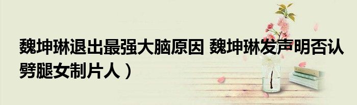 魏坤琳退出最强大脑原因 魏坤琳发声明否认劈腿女制片人)