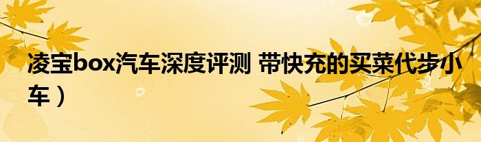 凌宝box汽车深度评测 带快充的买菜代步小车）