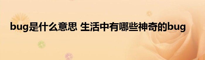 bug是什么意思 生活中有哪些神奇的bug