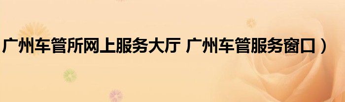 广州车管所网上服务大厅 广州车管服务窗口)