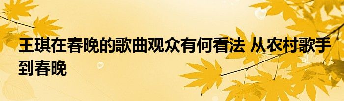 王琪在春晚的歌曲观众有何看法 从农村歌手到春晚
