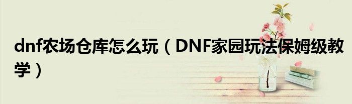dnf农场仓库怎么玩(DNF家园玩法保姆级教学)