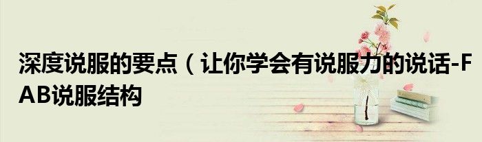 深度说服的要点(让你学会有说服力的说话-FAB说服结构