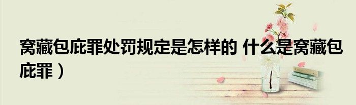 窝藏包庇罪处罚规定是怎样的 什么是窝藏包庇罪)