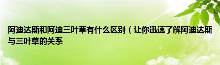 阿迪达斯和阿迪三叶草有什么区别(让你迅速了解阿迪达斯与三叶草的关系