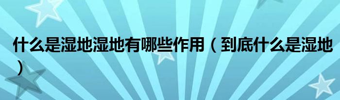 什么是湿地湿地有哪些作用(到底什么是湿地)