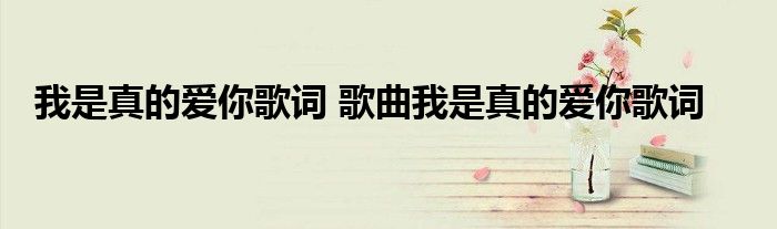 我是真的爱你歌词 歌曲我是真的爱你歌词