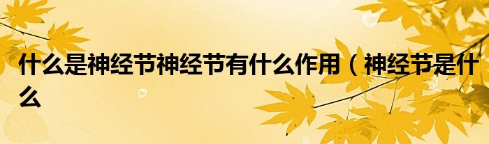 什么是神经节神经节有什么作用(神经节是什么