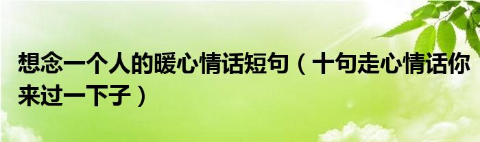 想念一个人的暖心情话短句(十句走心情话你来过一下子)