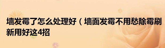 墙发霉了怎么处理好(墙面发霉不用愁除霉刷新用好这4招