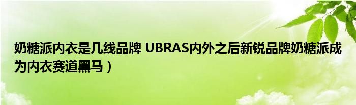 奶糖派内衣是几线品牌 UBRAS内外之后新锐品牌奶糖派成为内衣赛道黑马)