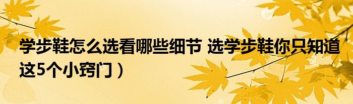 学步鞋怎么选看哪些细节 选学步鞋你只知道这5个小窍门)