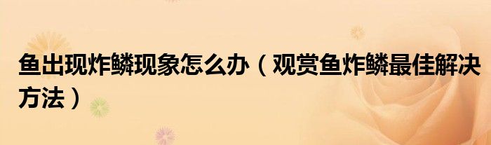 鱼出现炸鳞现象怎么办(观赏鱼炸鳞最佳解决方法)