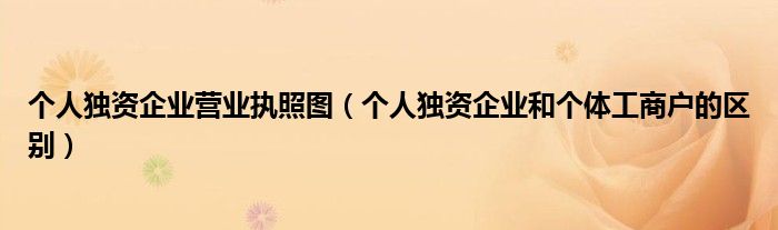 个人独资企业营业执照图(个人独资企业和个体工商户的区别)