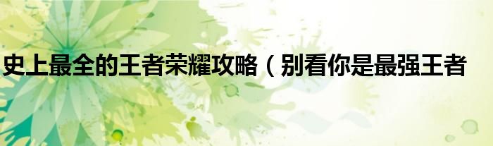 史上最全的王者荣耀攻略(别看你是最强王者