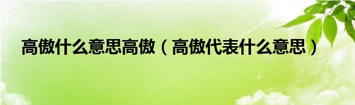 高傲什么意思高傲(高傲代表什么意思)