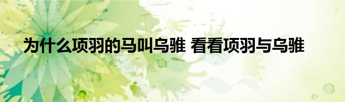 为什么项羽的马叫乌骓 看看项羽与乌骓