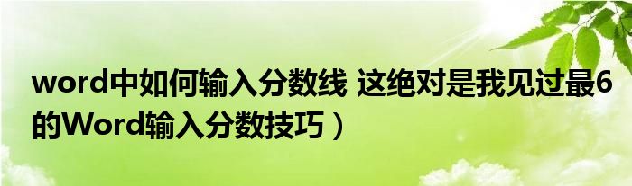 word中如何输入分数线 这绝对是我见过最6的Word输入分数技巧)