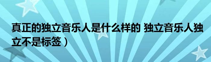 真正的独立音乐人是什么样的 独立音乐人独立不是标签)