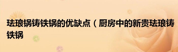 珐琅锅铸铁锅的优缺点(厨房中的新贵珐琅铸铁锅