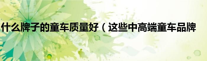 什么牌子的童车质量好(这些中高端童车品牌