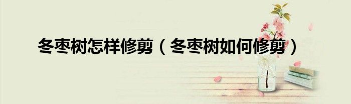 冬枣树怎样修剪(冬枣树如何修剪)