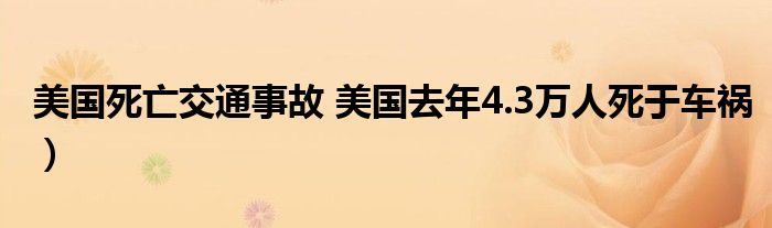 美国死亡交通事故 美国去年4.3万人死于车祸)