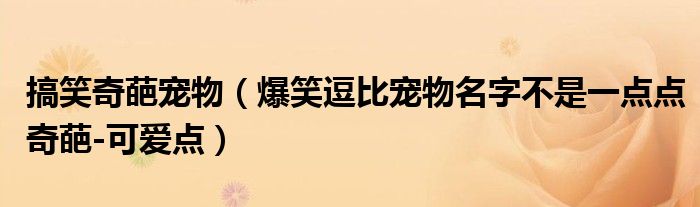 搞笑奇葩宠物(爆笑逗比宠物名字不是一点点奇葩-可爱点)