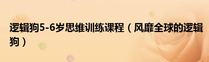 逻辑狗5-6岁思维训练课程(风靡全球的逻辑狗)