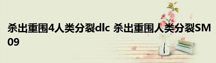 杀出重围4人类分裂dlc 杀出重围人类分裂SM09