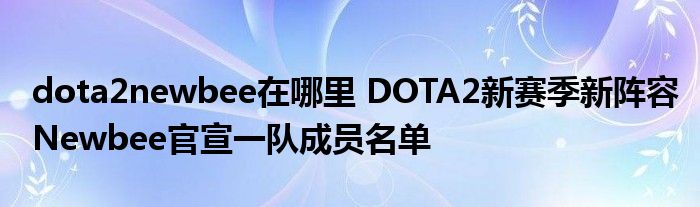 dota2newbee在哪里 DOTA2新赛季新阵容Newbee官宣一队成员名单