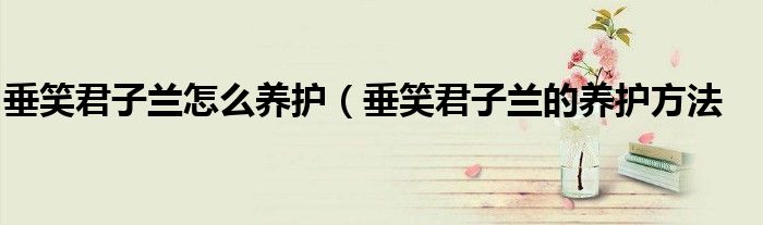 垂笑君子兰怎么养护(垂笑君子兰的养护方法