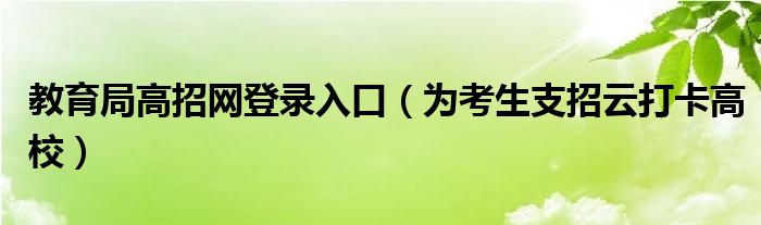 教育局高招网登录入口(为考生支招云打卡高校)