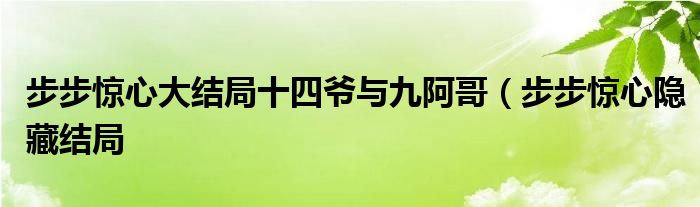 步步惊心大结局十四爷与九阿哥(步步惊心隐藏结局