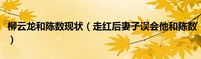 柳云龙和陈数现状(走红后妻子误会他和陈数)